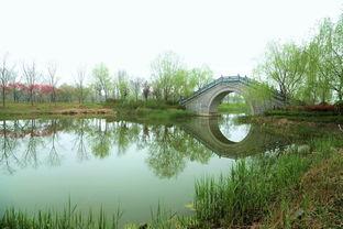 济宁北湖爆料案件最新,惊现悬疑命案，真相扑朔迷离！